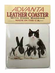 Belgian Dutch Rabbits and Kitten Single Leather Photo Coaster