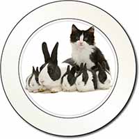 Belgian Dutch Rabbits and Kitten Car or Van Permit Holder/Tax Disc Holder