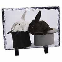 Rabbits in Top Hats, Stunning Photo Slate