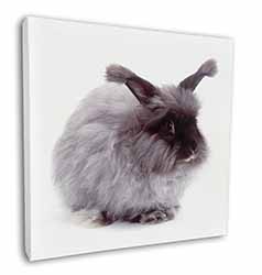 Silver Angora Rabbit Square Canvas 12"x12" Wall Art Picture Print