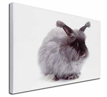 Silver Angora Rabbit Canvas X-Large 30"x20" Wall Art Print