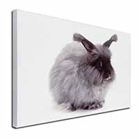 Silver Angora Rabbit Canvas X-Large 30"x20" Wall Art Print