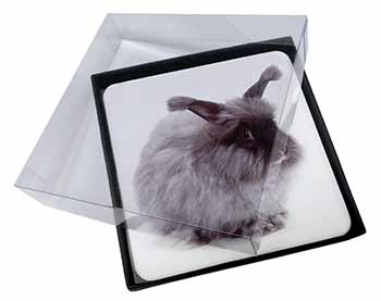 4x Silver Angora Rabbit Picture Table Coasters Set in Gift Box