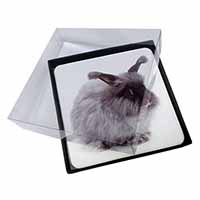 4x Silver Angora Rabbit Picture Table Coasters Set in Gift Box