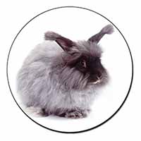 Silver Angora Rabbit Fridge Magnet Printed Full Colour