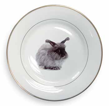 Silver Angora Rabbit Gold Rim Plate Printed Full Colour in Gift Box