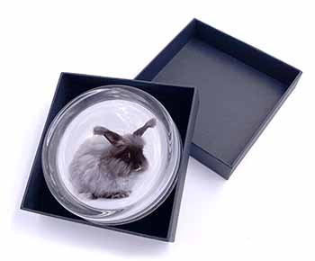 Silver Angora Rabbit Glass Paperweight in Gift Box