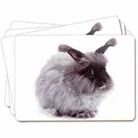 Silver Angora Rabbit Picture Placemats in Gift Box