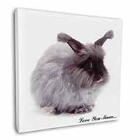 Angora Rabbit 