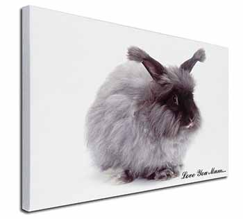 Angora Rabbit 