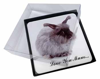 4x Angora Rabbit 