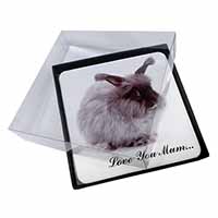 4x Angora Rabbit 