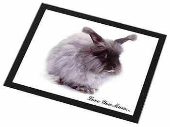 Angora Rabbit 