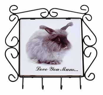 Angora Rabbit 