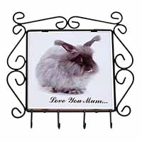 Angora Rabbit 