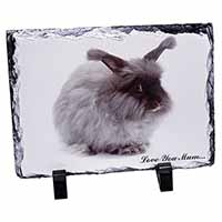 Angora Rabbit 