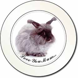 Angora Rabbit 