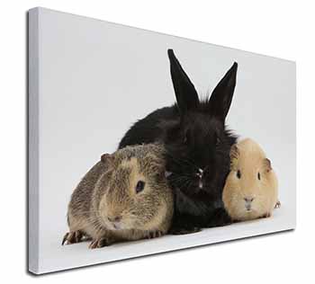 Rabbit and Guinea Pigs Print Canvas X-Large 30"x20" Wall Art Print