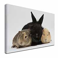 Rabbit and Guinea Pigs Print Canvas X-Large 30"x20" Wall Art Print