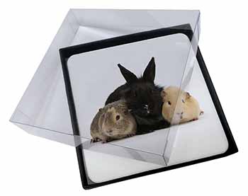 4x Rabbit and Guinea Pigs Print Picture Table Coasters Set in Gift Box