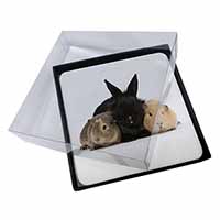 4x Rabbit and Guinea Pigs Print Picture Table Coasters Set in Gift Box