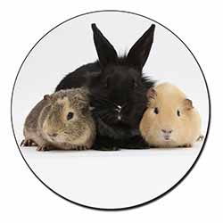 Rabbit and Guinea Pigs Print Fridge Magnet Printed Full Colour