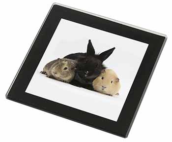 Rabbit and Guinea Pigs Print Black Rim High Quality Glass Coaster