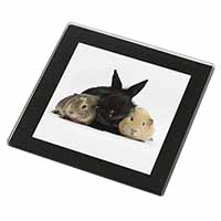 Rabbit and Guinea Pigs Print Black Rim High Quality Glass Coaster