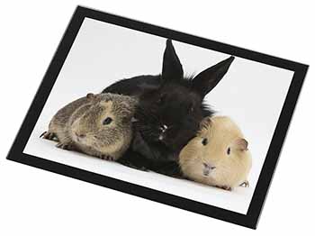 Rabbit and Guinea Pigs Print Black Rim High Quality Glass Placemat