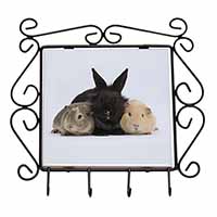 Rabbit and Guinea Pigs Print Wrought Iron Key Holder Hooks