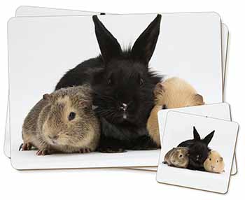 Rabbit and Guinea Pigs Print Twin 2x Placemats and 2x Coasters Set in Gift Box
