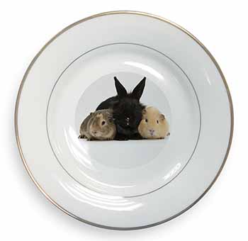 Rabbit and Guinea Pigs Print Gold Rim Plate Printed Full Colour in Gift Box