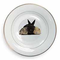 Rabbit and Guinea Pigs Print Gold Rim Plate Printed Full Colour in Gift Box