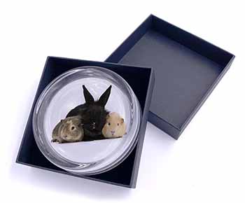 Rabbit and Guinea Pigs Print Glass Paperweight in Gift Box