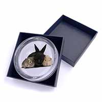 Rabbit and Guinea Pigs Print Glass Paperweight in Gift Box