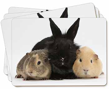 Rabbit and Guinea Pigs Print Picture Placemats in Gift Box
