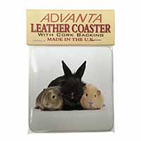 Rabbit and Guinea Pigs Print Single Leather Photo Coaster
