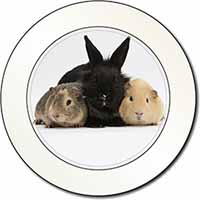 Rabbit and Guinea Pigs Print Car or Van Permit Holder/Tax Disc Holder