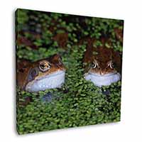 Pond Frogs Square Canvas 12"x12" Wall Art Picture Print
