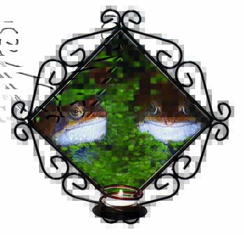 Pond Frogs Wrought Iron Wall Art Candle Holder