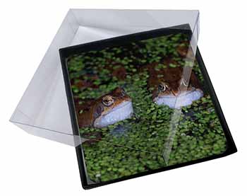 4x Pond Frogs Picture Table Coasters Set in Gift Box