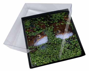 4x Pond Frogs Picture Table Coasters Set in Gift Box