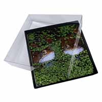 4x Pond Frogs Picture Table Coasters Set in Gift Box