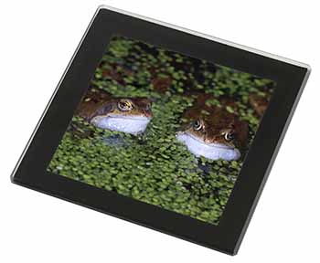 Pond Frogs Black Rim High Quality Glass Coaster