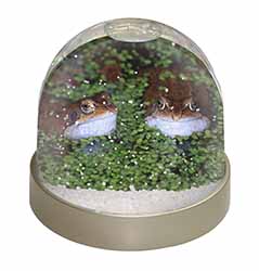 Pond Frogs Snow Globe Photo Waterball