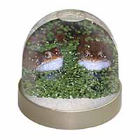 Pond Frogs Snow Globe Photo Waterball