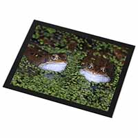 Pond Frogs Black Rim High Quality Glass Placemat
