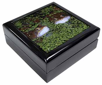 Pond Frogs Keepsake/Jewellery Box