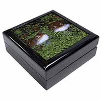 Pond Frogs Keepsake/Jewellery Box