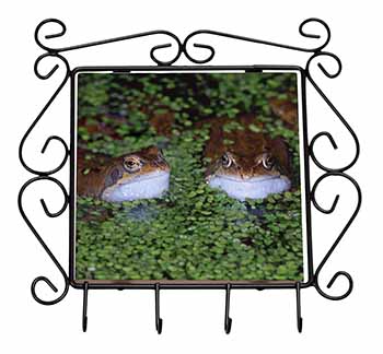 Pond Frogs Wrought Iron Key Holder Hooks